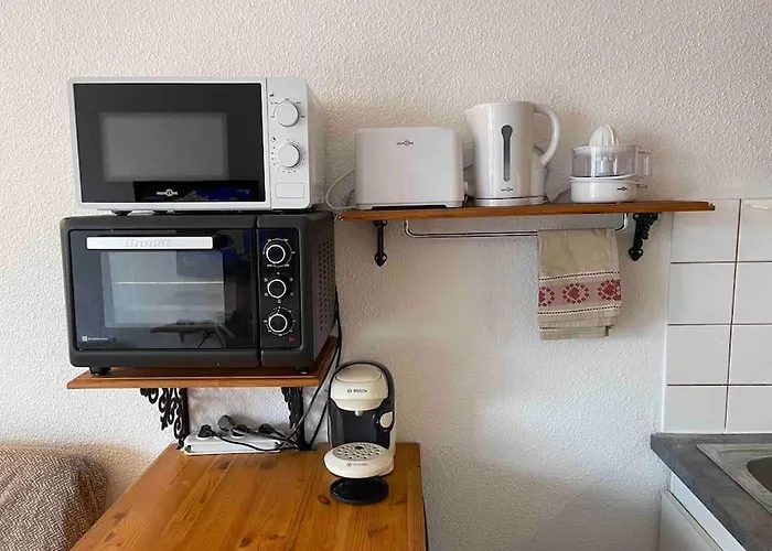 Les Deux Alpes+parking Couvert شقة